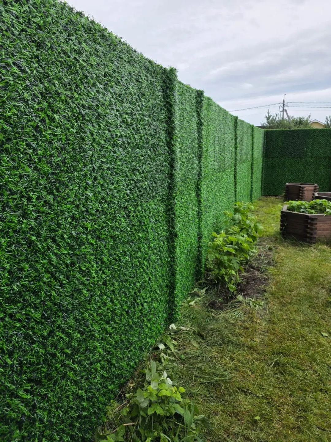Вечнозеленый забор Grass Fence 37м фото 1 в Полевском